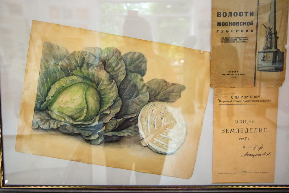 Федеральный научный центр овощеводства отмечает 105-летие