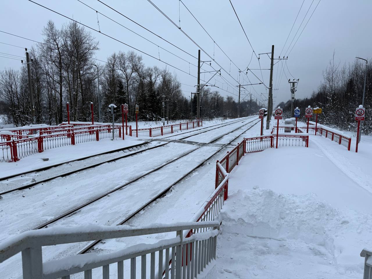 Трагическая статистика: в Одинцовском округе выросло число происшествий на железной дороге