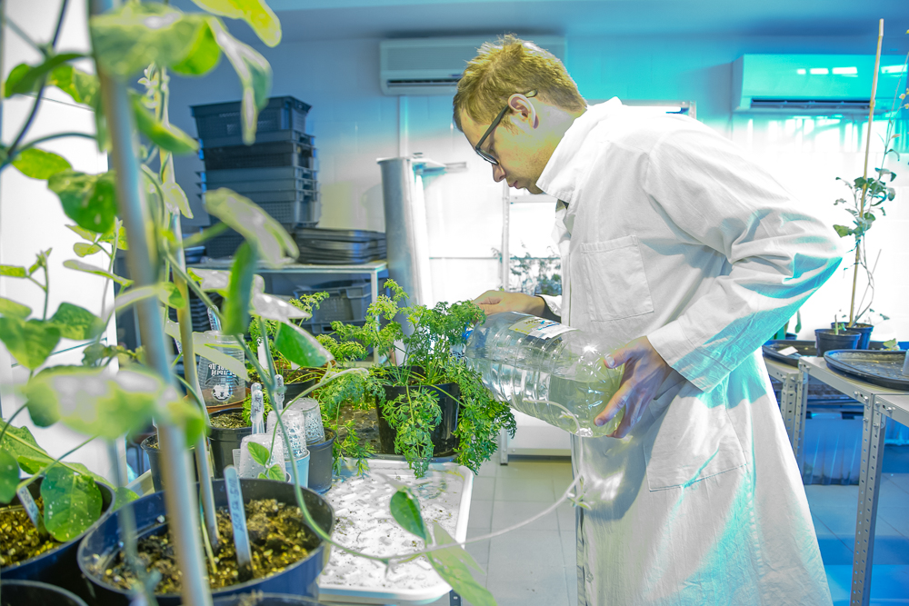 Федеральный научный центр овощеводства отмечает 105-летие